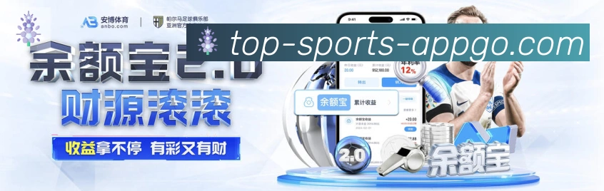 未来规划